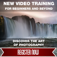 Discover the Art of Photography