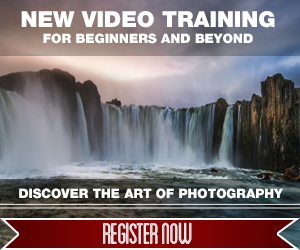 Discover the Art of Photography